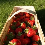 Palac Pozorty